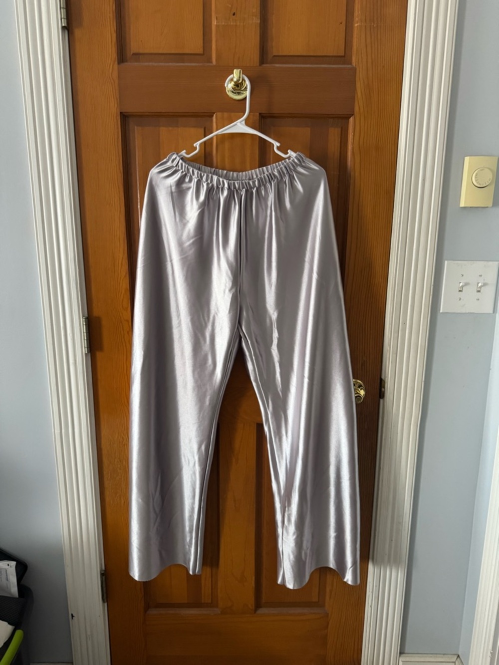 Silver Shiny Wide-Leg Dressy Pants